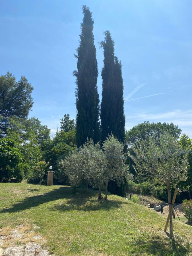 Вілла Les Oliviers Vaugines Екстер'єр фото